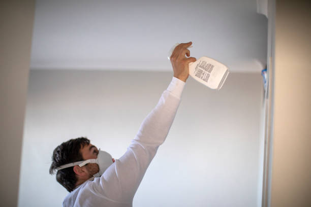 Best Mold Remediation  in Sidney, OH