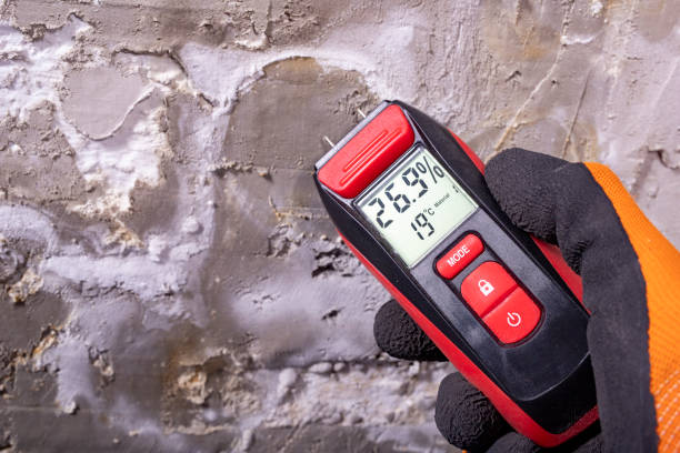 Best Attic Mold Removal  in Sidney, OH